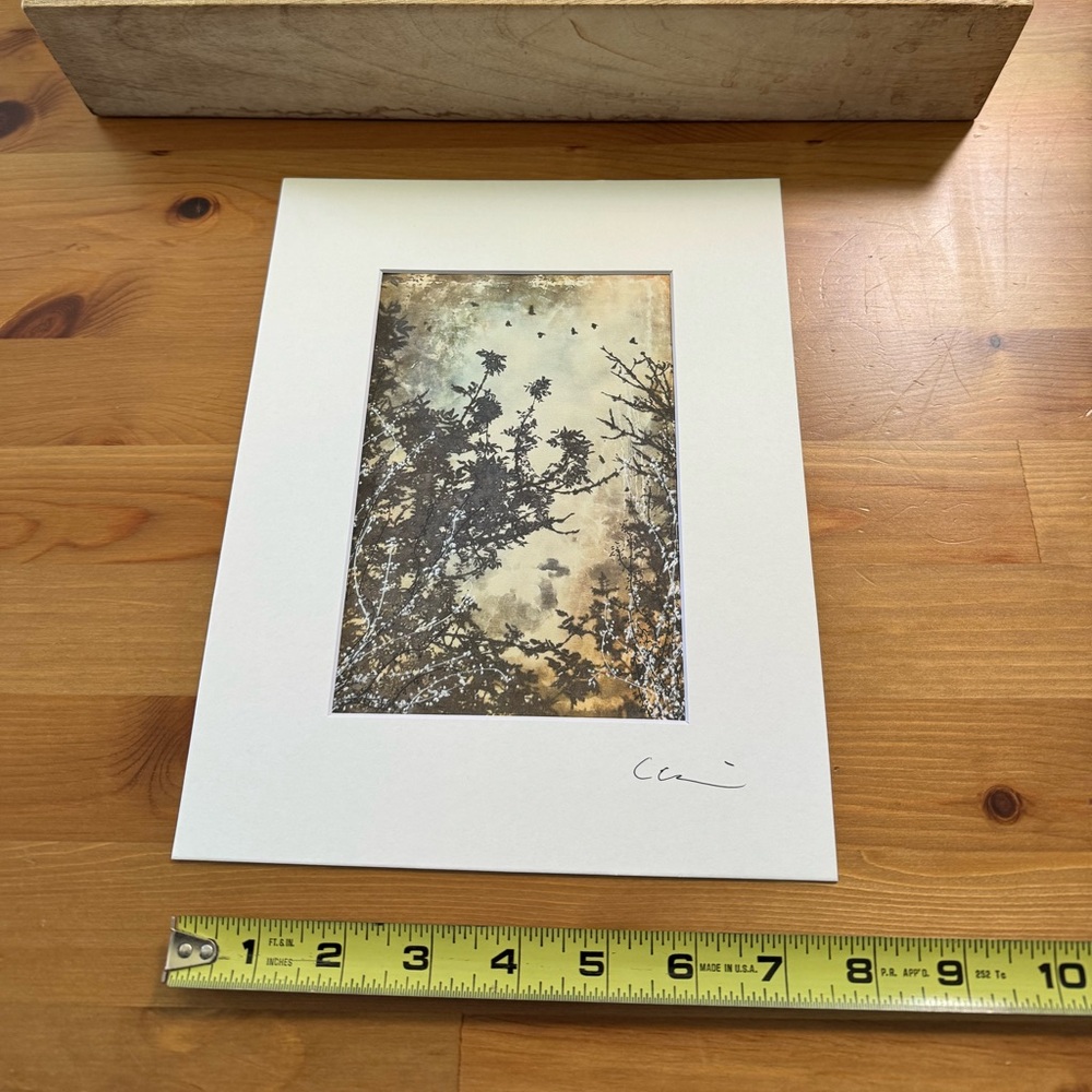 New Original Signed Photography Landscape - Picture 4 of 4